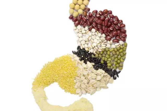 長夏養生，吃出好“ 胃”口！